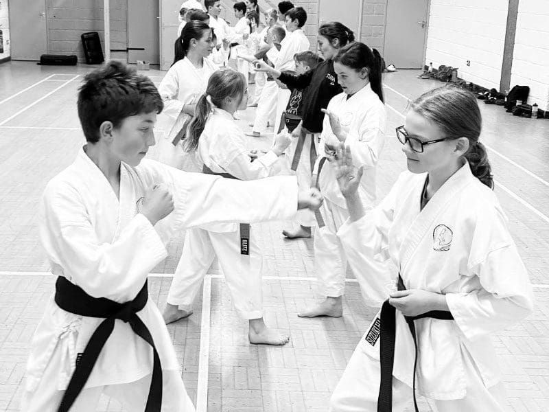 Teen Martial Arts Classes | Lincoln Karate School Lincoln